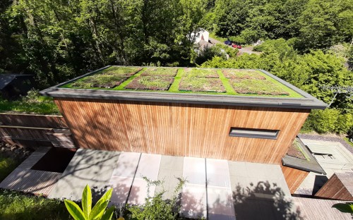 LMF Roofing Green Roof